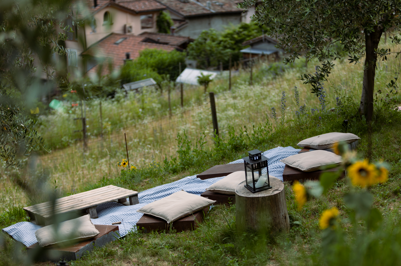 Picknickgutschein im Biodiversitätsgarten