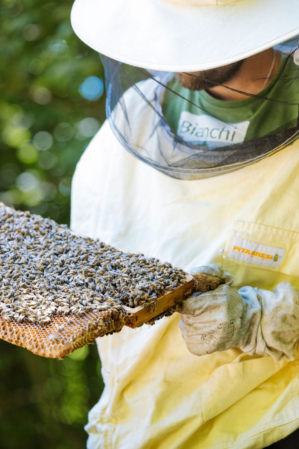 Erfahrung in der Bienenzucht