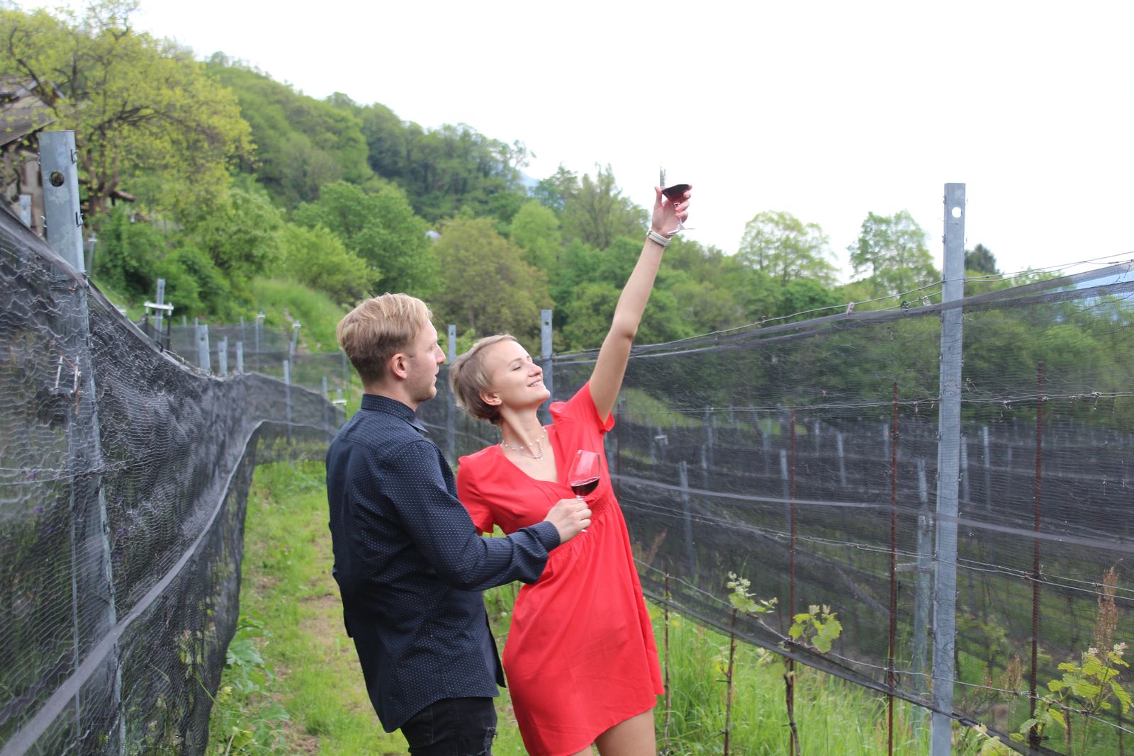 KLASSISCHE Weintour und Weinprobe