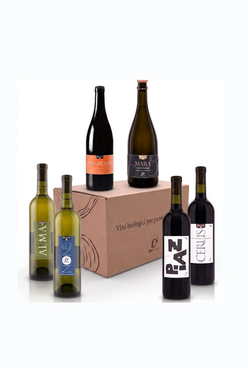Promotion du mois : carton de Cerus, vin rouge biologique élevé en fûts de chêne avec IGT Suisse Italienne, 2022