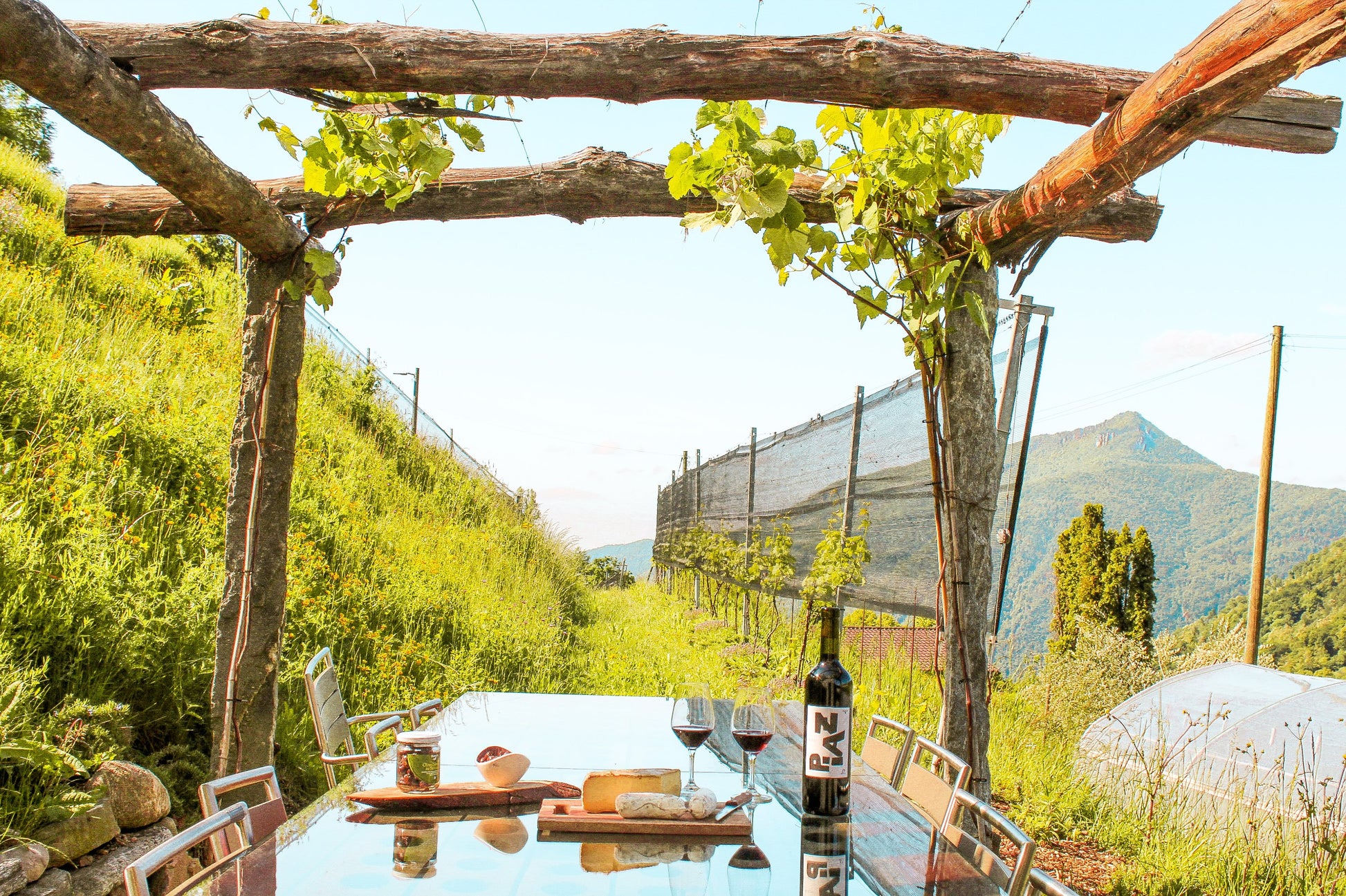 KLASSISCHE Weintour und Weinprobe