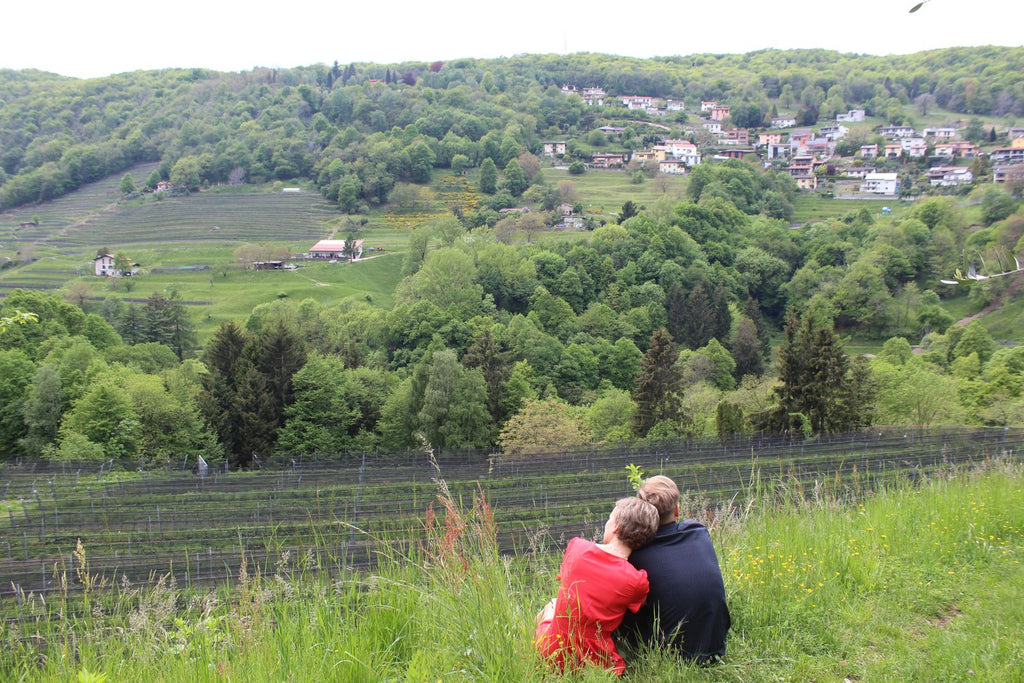 KLASSISCHE Weintour und Weinprobe