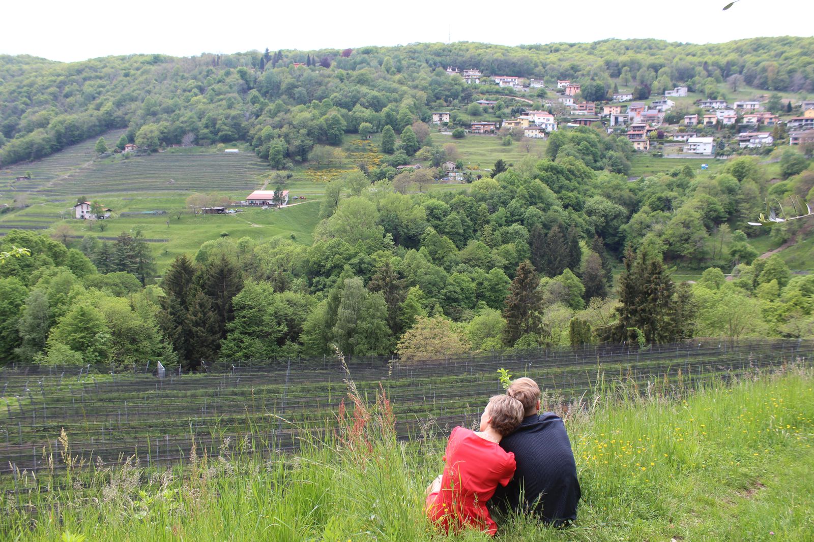 KLASSISCHE Weintour und Weinprobe