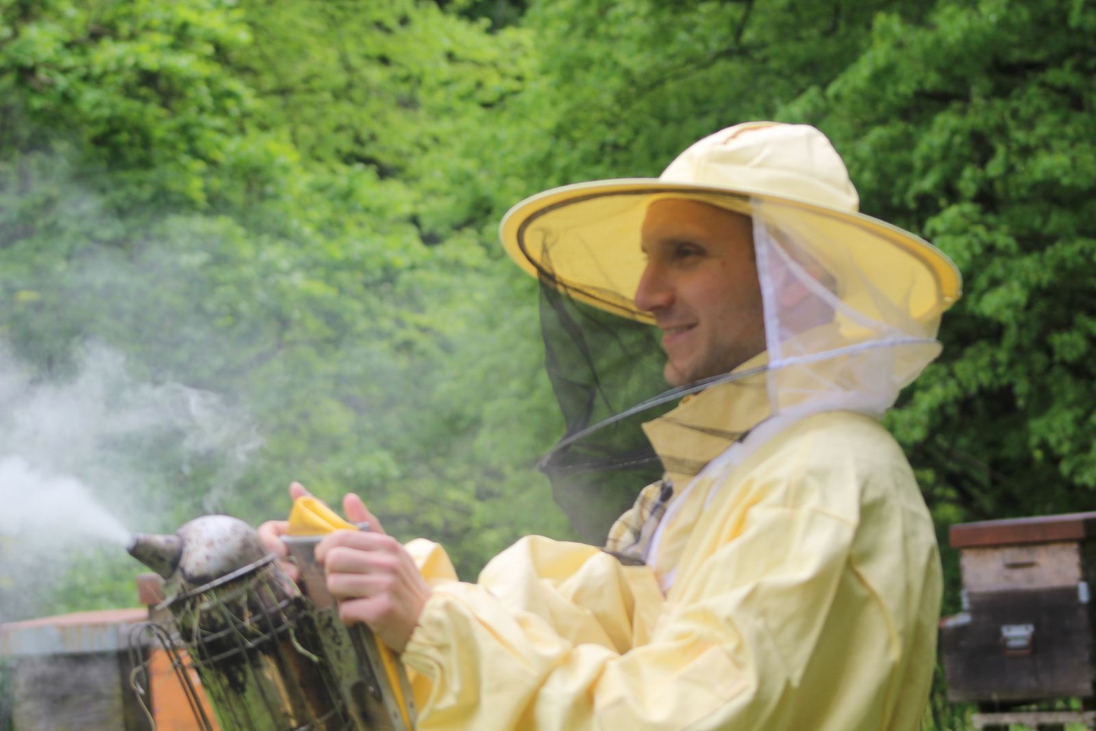 Erfahrung in der Bienenzucht